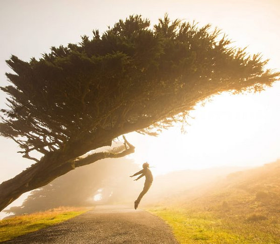 stephen-leonardi-wPlzrculha8-unsplash-min jump in the sun
