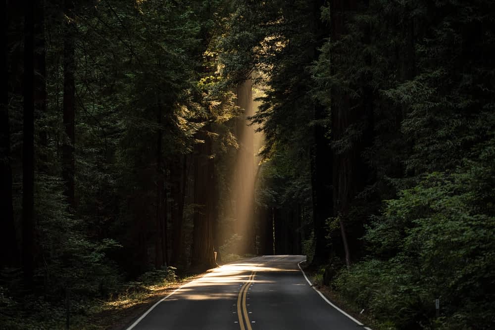 john-towner-117317-unsplash-min-min