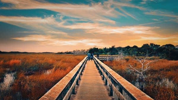man_in_blue_jacket_walking_on_brown_wooden_bridge-scopio-c02f3e81-6ec8-41f8-b921-0bbdf97cc00a-min man and woman free from smoking