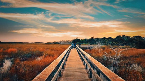 man_in_blue_jacket_walking_on_brown_wooden_bridge-scopio-c02f3e81-6ec8-41f8-b921-0bbdf97cc00a-min man and woman free from smoking