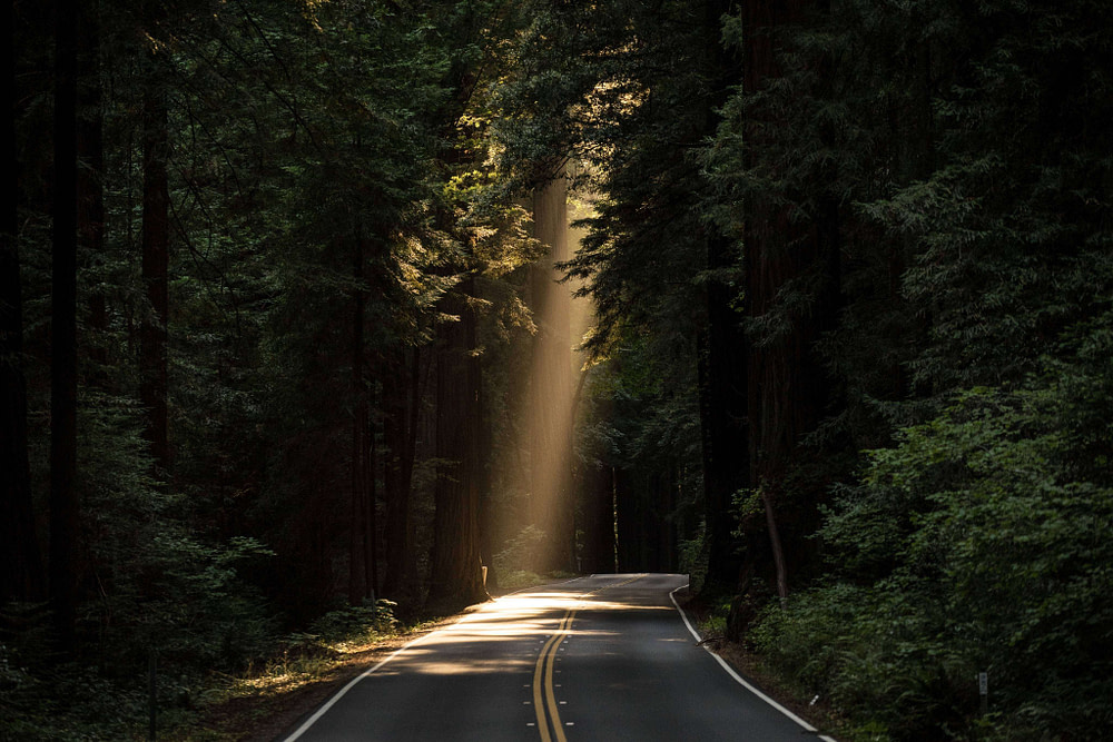 john-towner-117317-unsplash-min-min