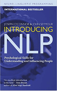 introducing NLP book 