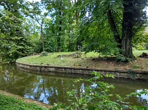 green meadow for a stress free life