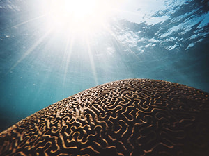 mind hacks 