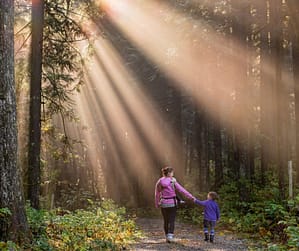 walk in nature