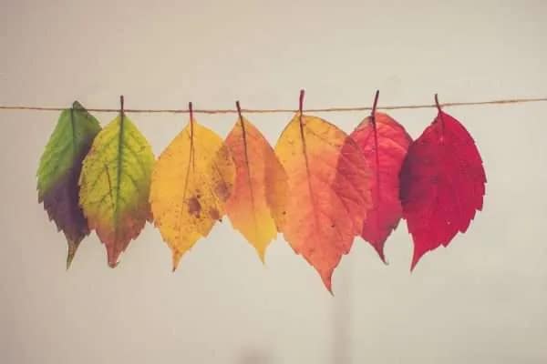 psychotherapy in edinburgh psychotherapy in edinburgh